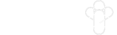 Logo_Dfpplus_footer